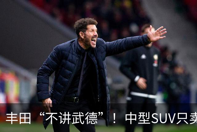 丰田“不讲武德”！中型SUV只卖11.38万，高配630km续航+激光雷达