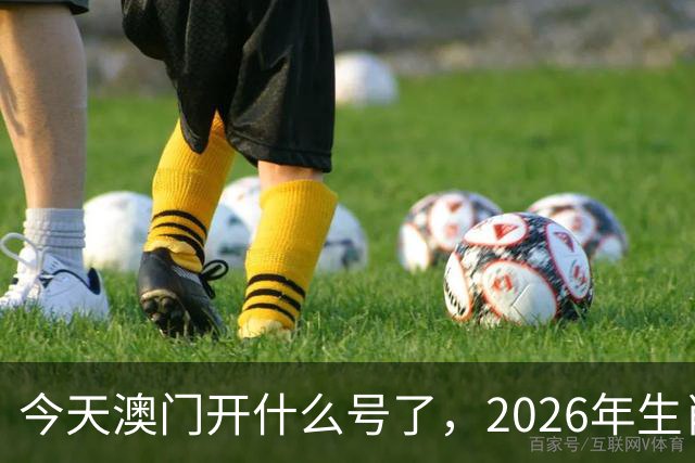 今天澳门开什么号了，2026年生肖码图，四不像正版49跑狗图图库图片大全，第291期新六合彩买什么生肖