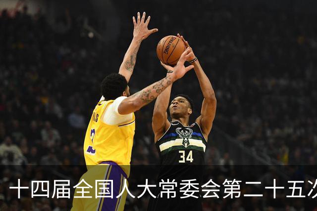 十四届全国人大常委会第二十五次会议将于11月2日至6日在京举行