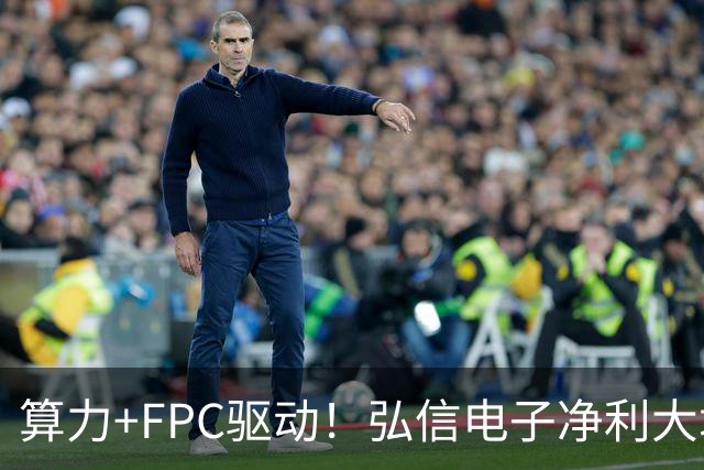 算力+FPC驱动！弘信电子净利大增139%，股价较年内高点回撤超40%