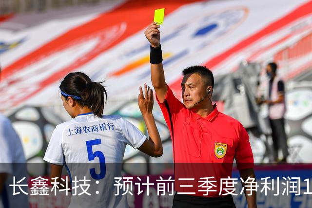 长鑫科技：预计前三季度净利润1310亿-1325亿元！同比扭亏为盈