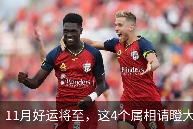 11月好运将至，这4个属相请瞪大双眼，抓住机遇，往后两个月好事接连登门